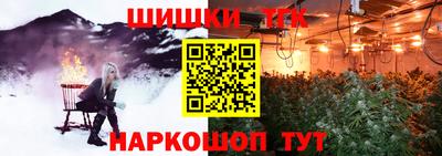 дмт Бердск