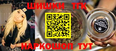 дмт Бердск