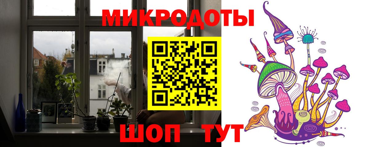 Галлюциногенные грибы Psilocybine cubensis Анжеро-Судженск