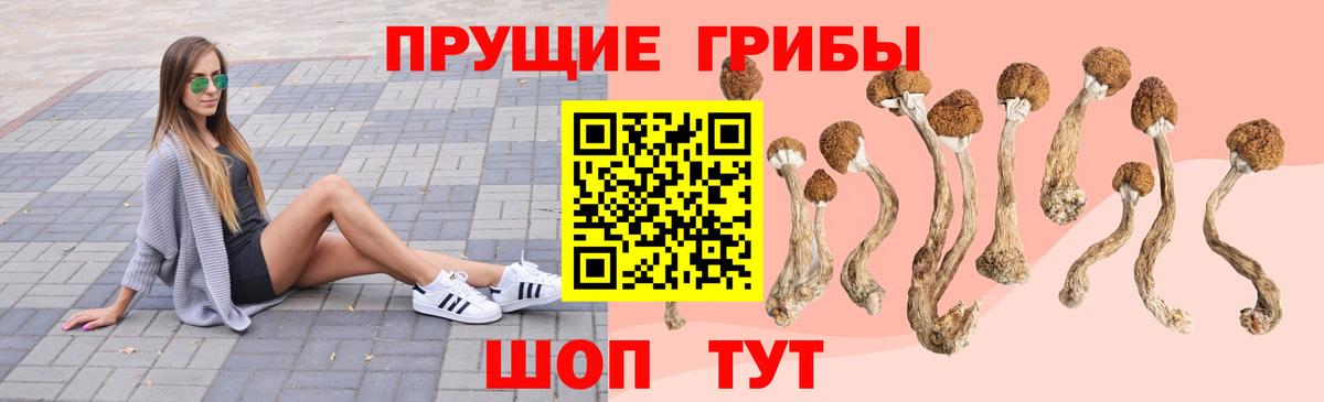 Псилоцибиновые грибы Cubensis  Галлюциногенные грибы мицелий  Вход с VPN  Анжеро-Судженск 