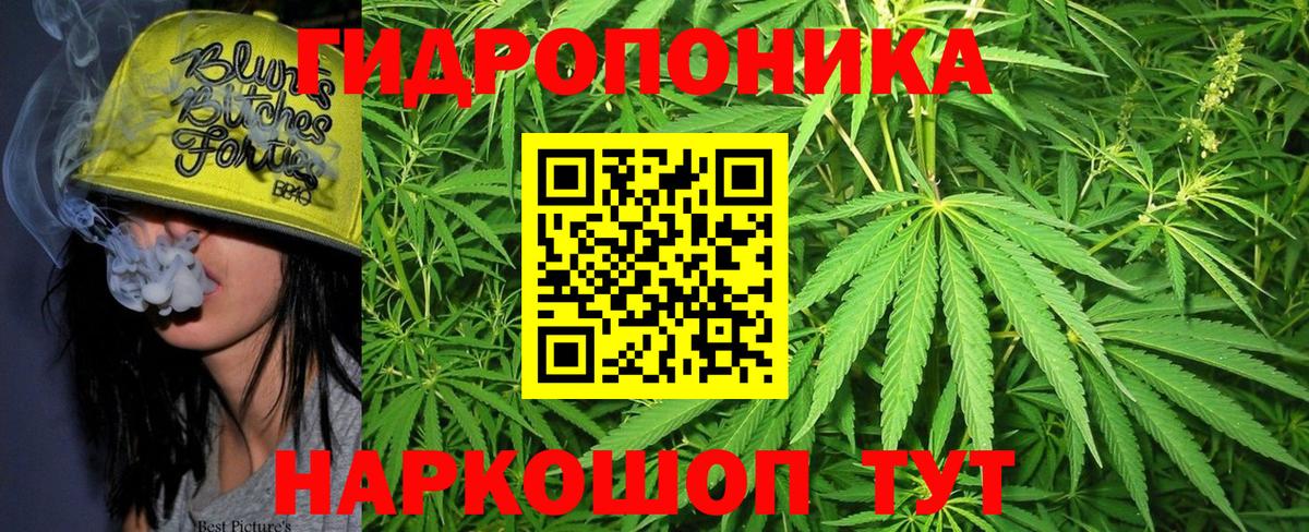 Шишки марихуана VHQ Анжеро-Судженск
